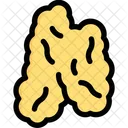 Anatomy Organ Biology Icon