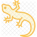Tokay Gecko Icon
