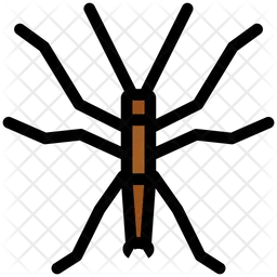 Walking Sticks  Icon