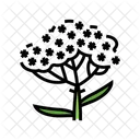 Yarrow  Icon